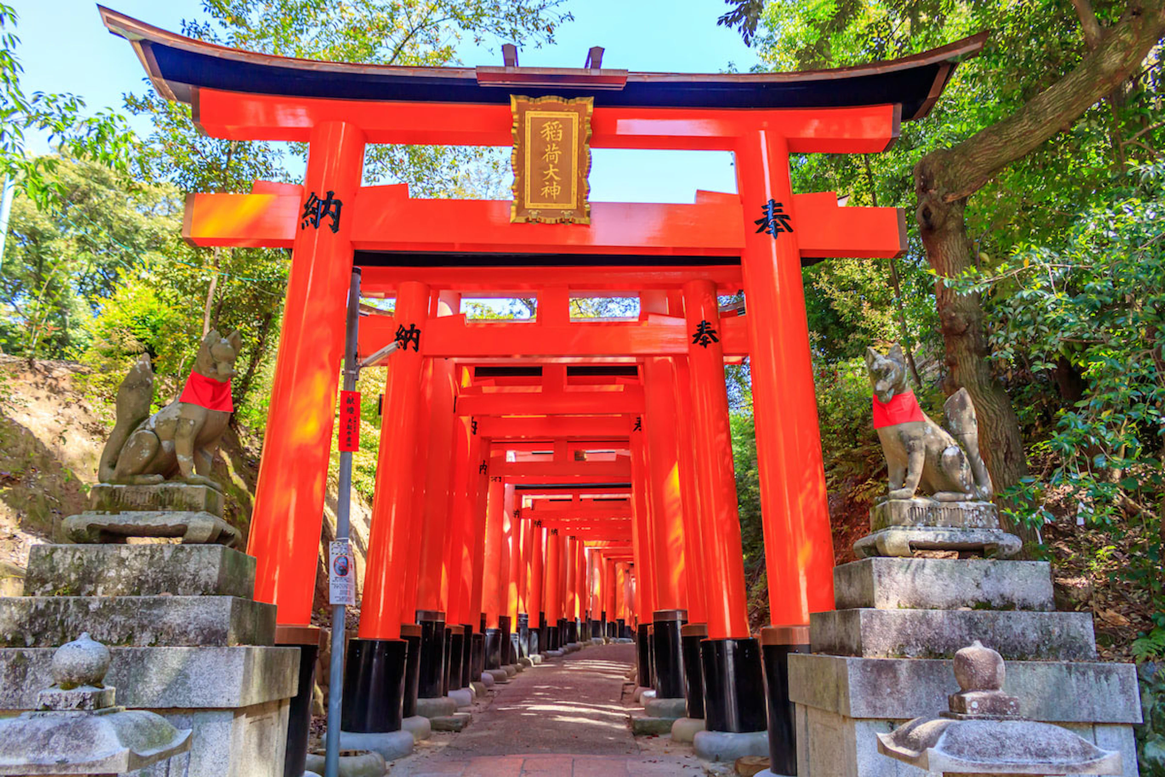 Kyoto & Uji: Heritage and Tea Culture