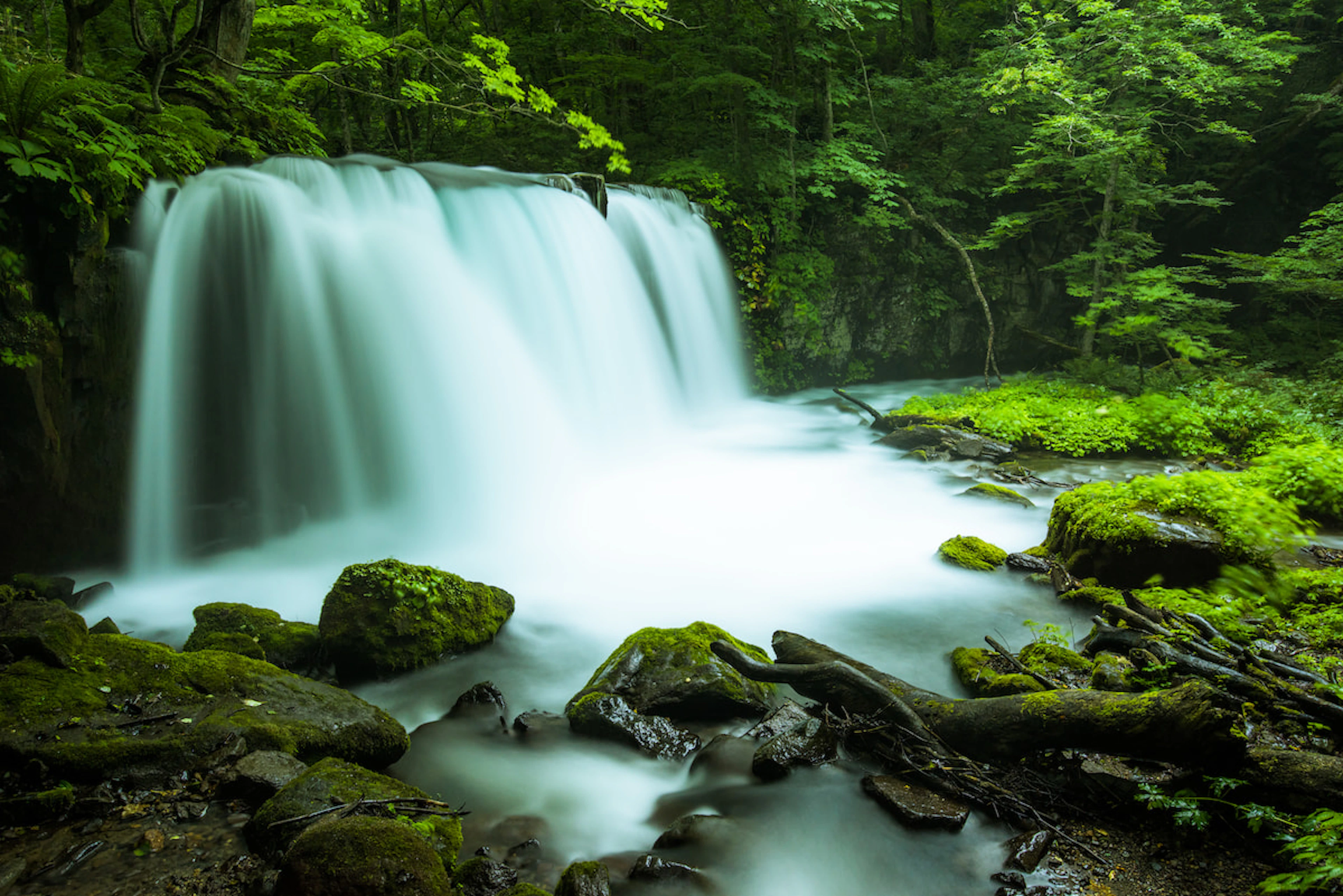 Oirase Keiryu & Lake Towada Nature