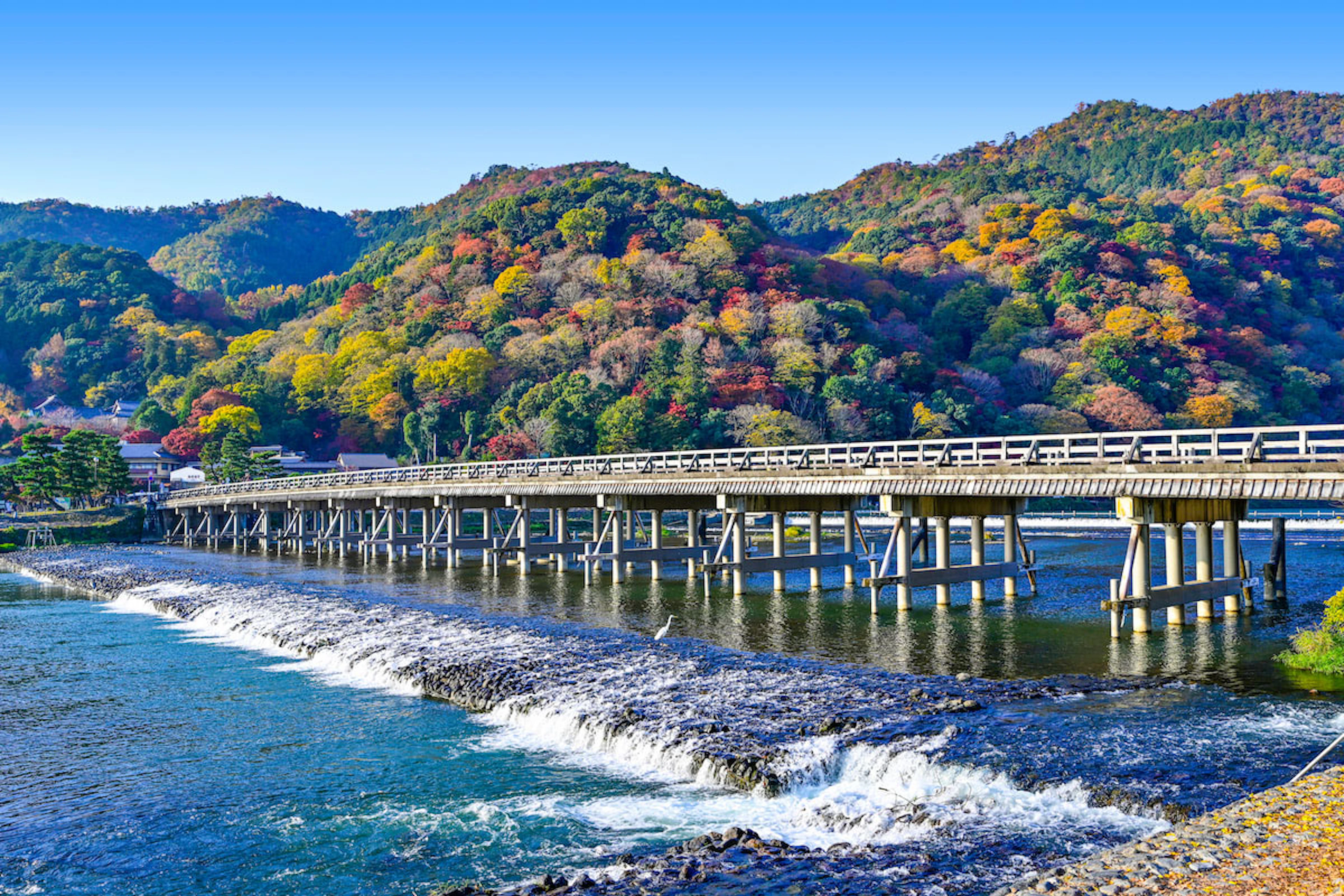 Kyoto’s Timeless Beauty and Riverside Dining