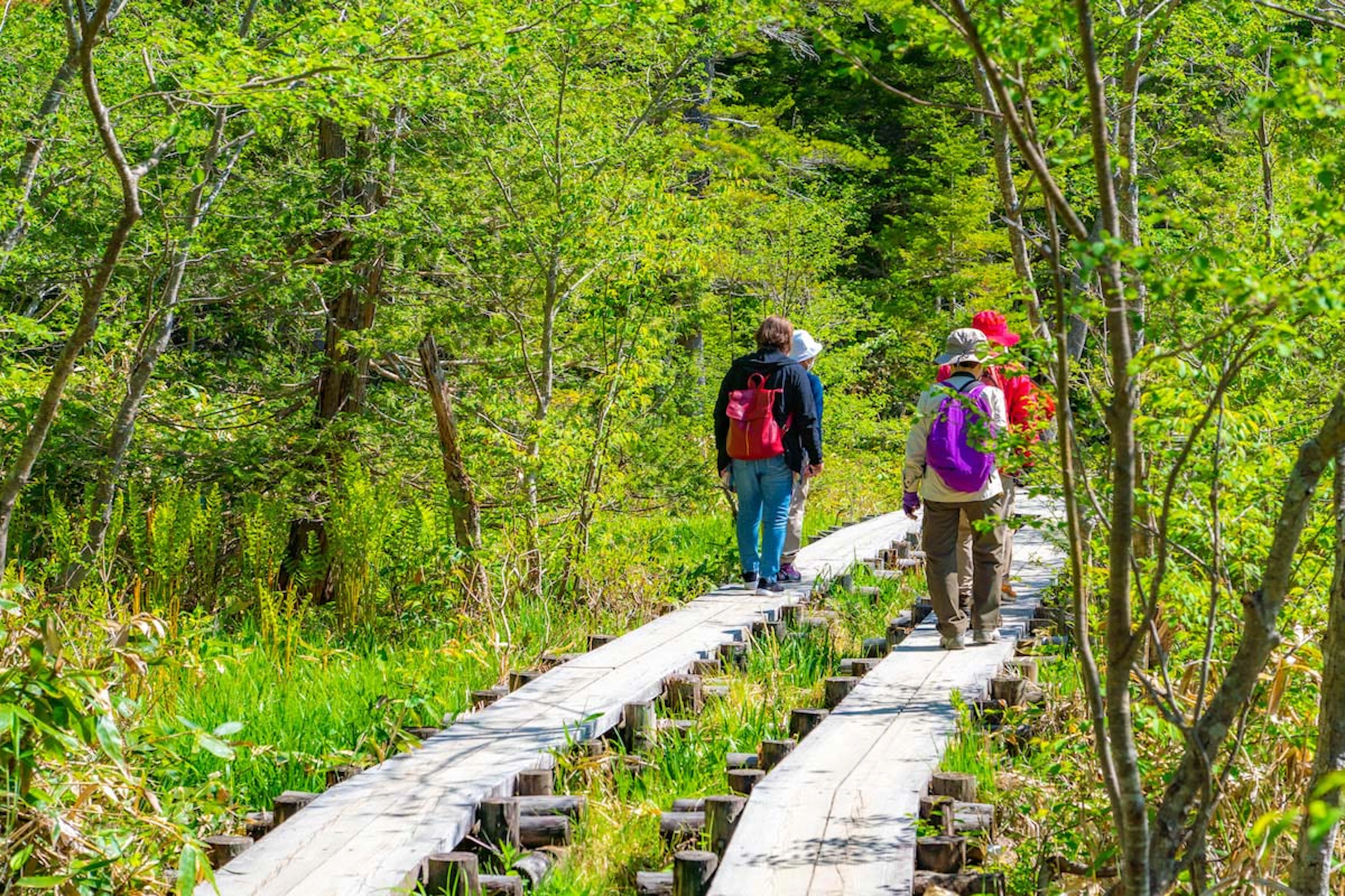 Kamikochi Hiking