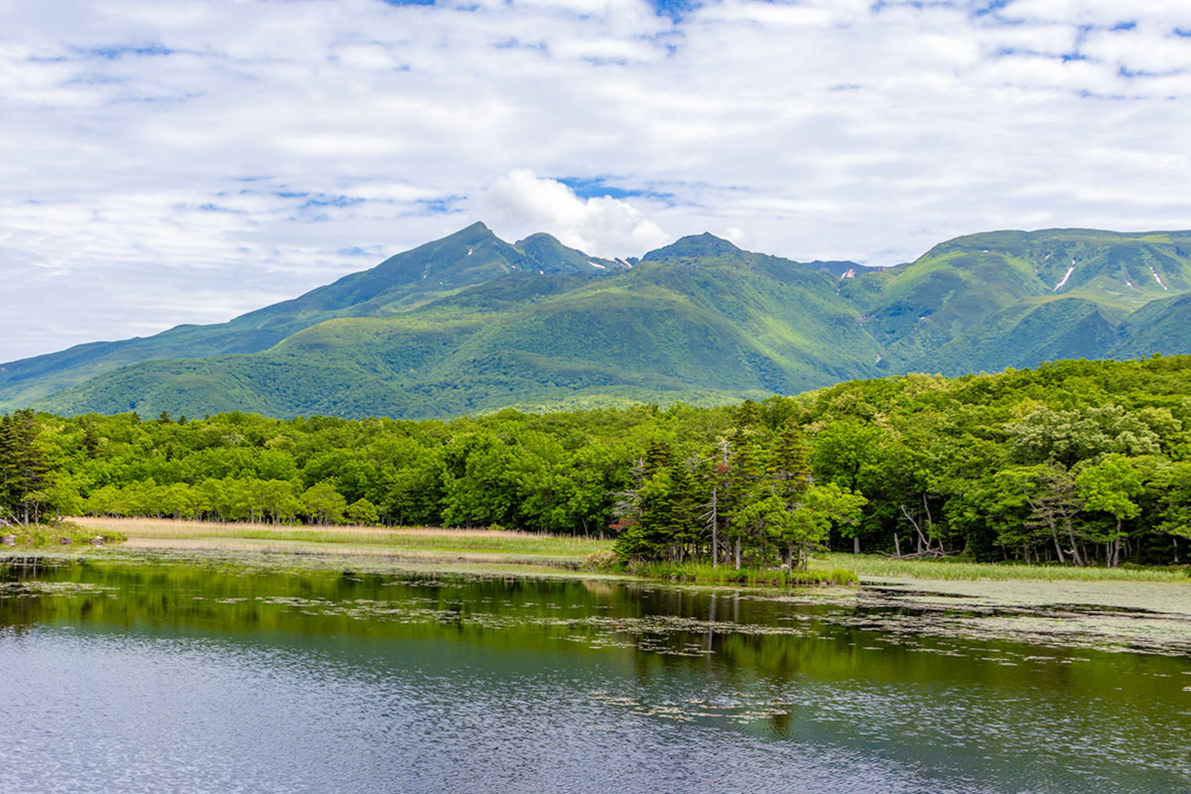 Shiretoko: Where Primeval Nature Meets the Sea