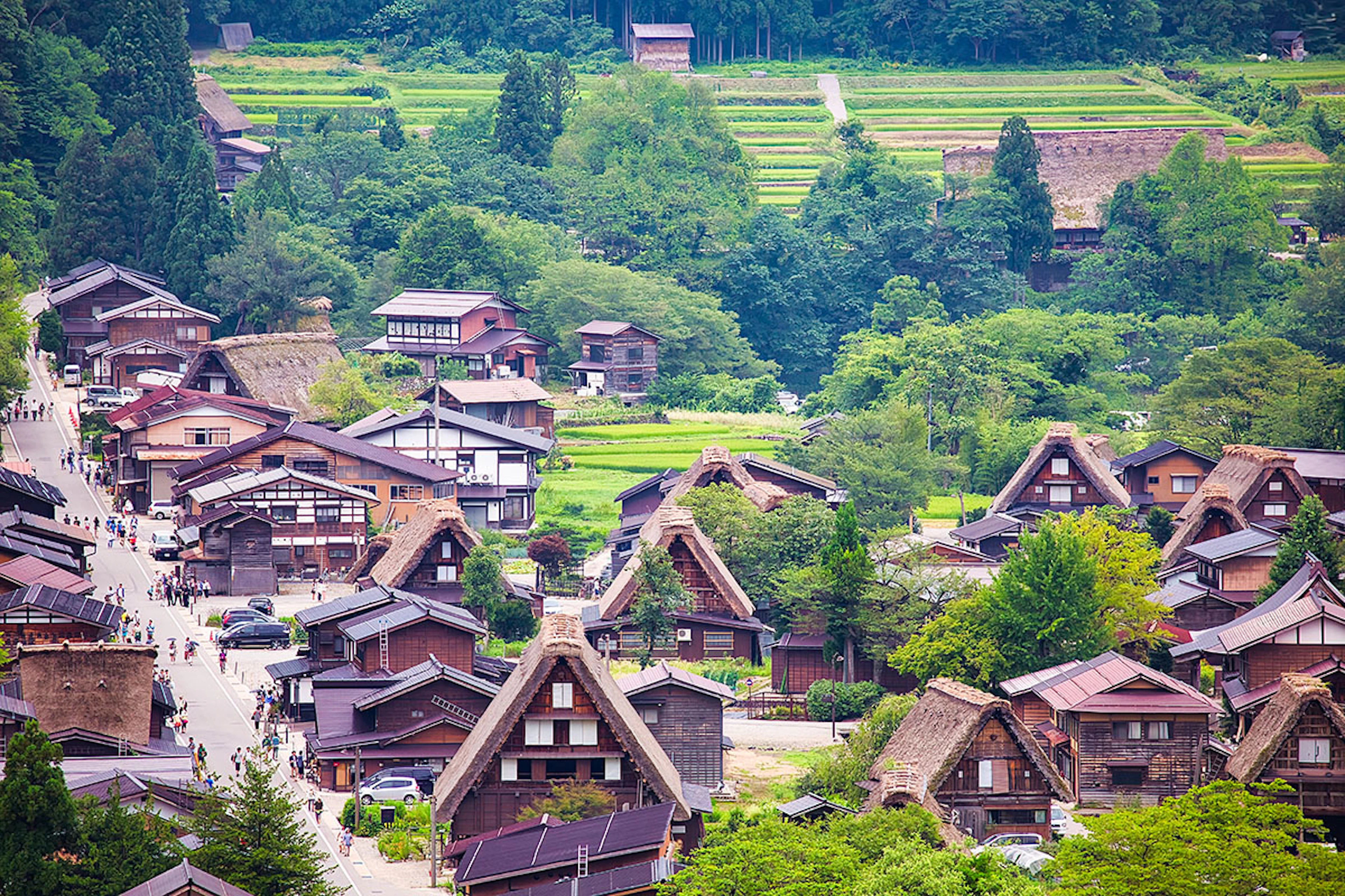 Alpine Traditions of Shirakawa-go and Takayama