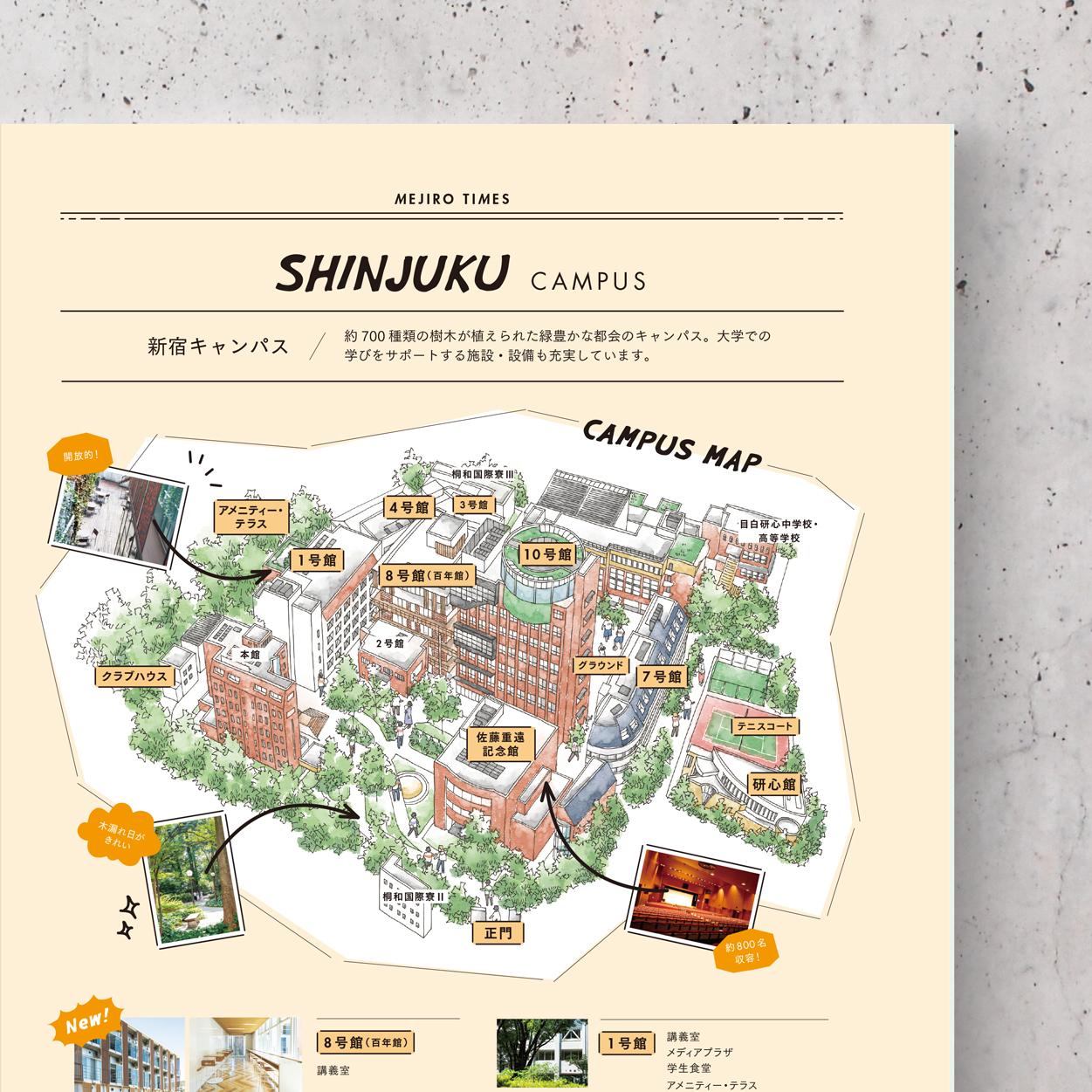目白大学 | キャンパスマップ