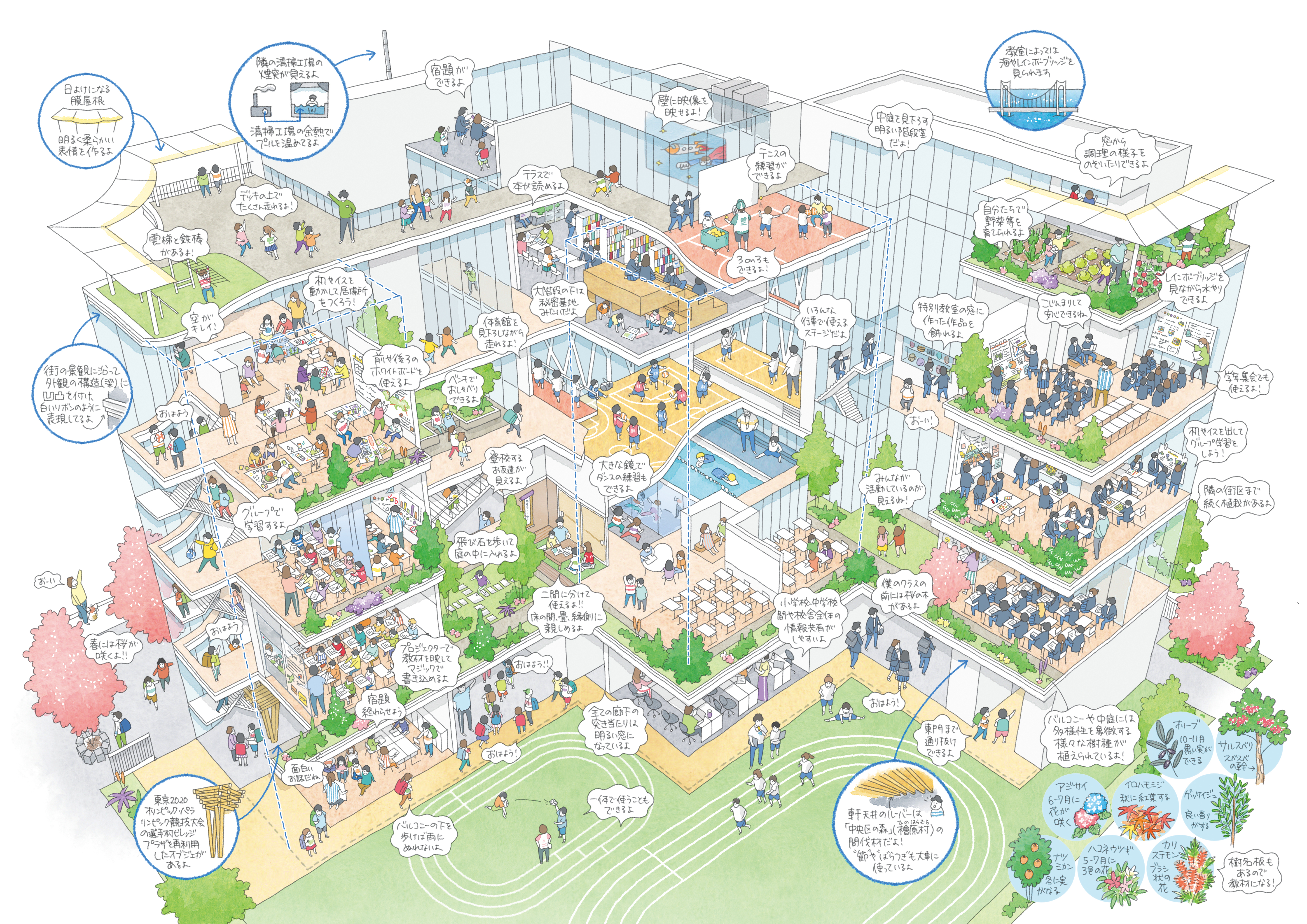 晴海西小学校・西中学校 図解パンフレット