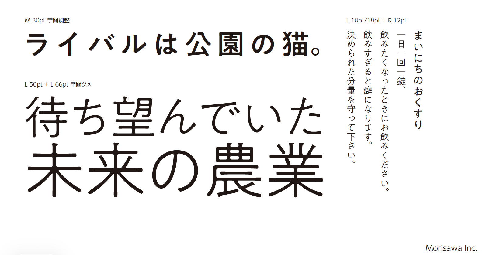 A-1ゴシックのフォント見本
