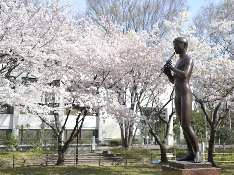 有栖川宮記念公園の桜と笛を吹く少年像