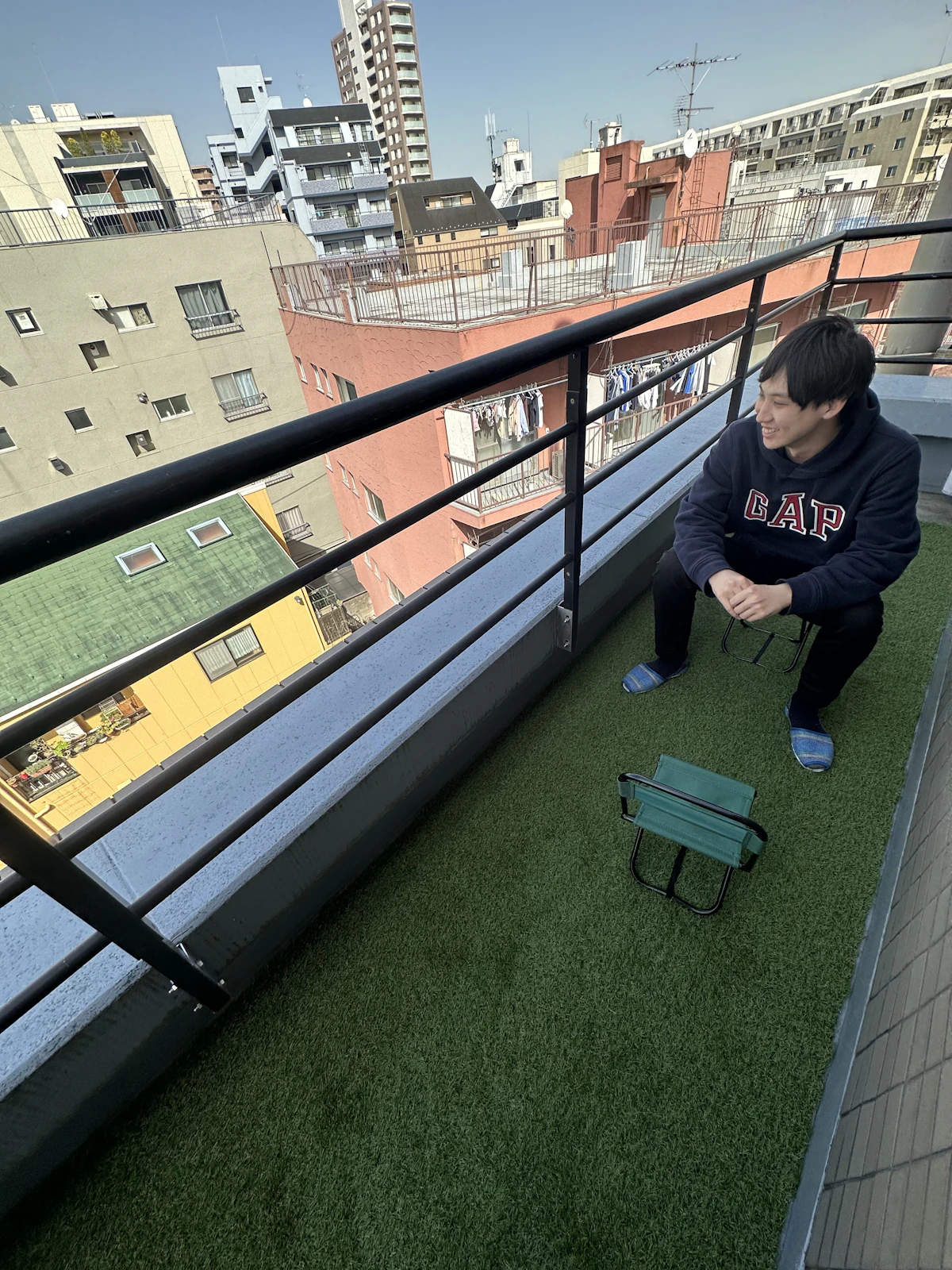 オフィスに緑が来ました!!
