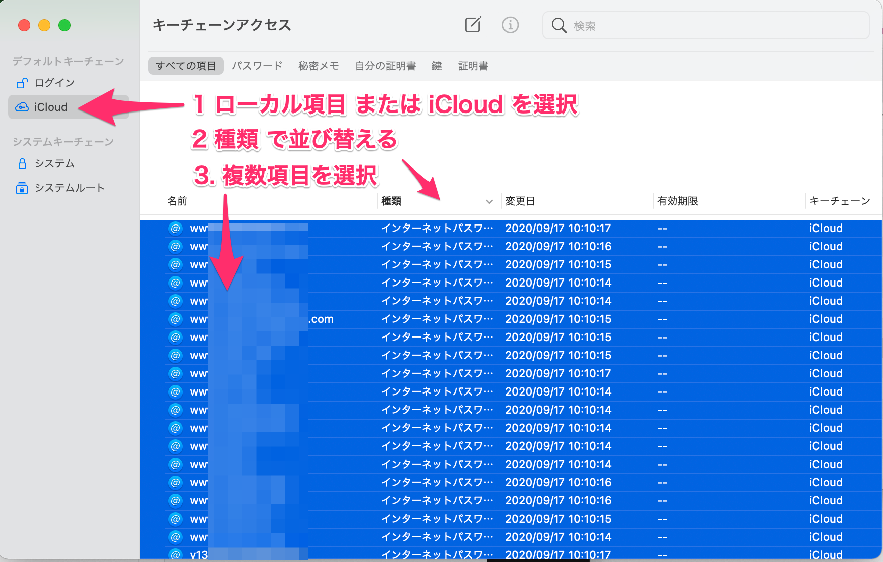 _____________Mac___Chrome_Safari____Keeper_Security_________________________.png