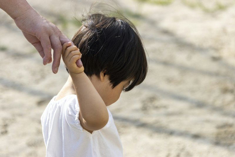 子の連れ去りの法的対応｜監護者指定や引渡し調停・審判の手続き