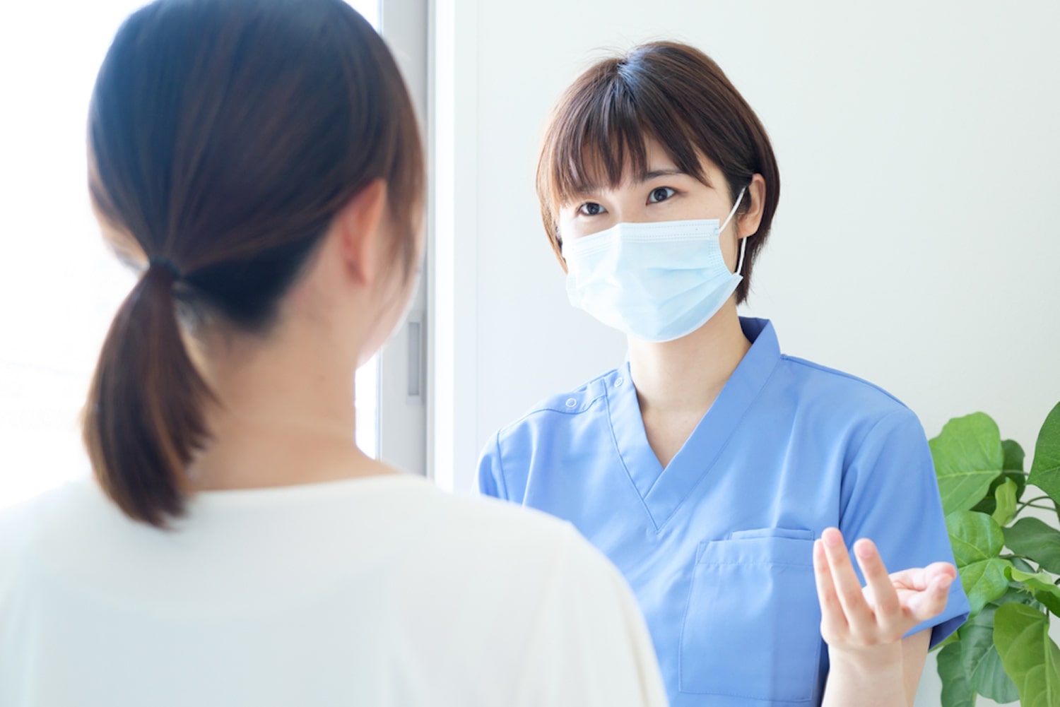 歯内療法　治療