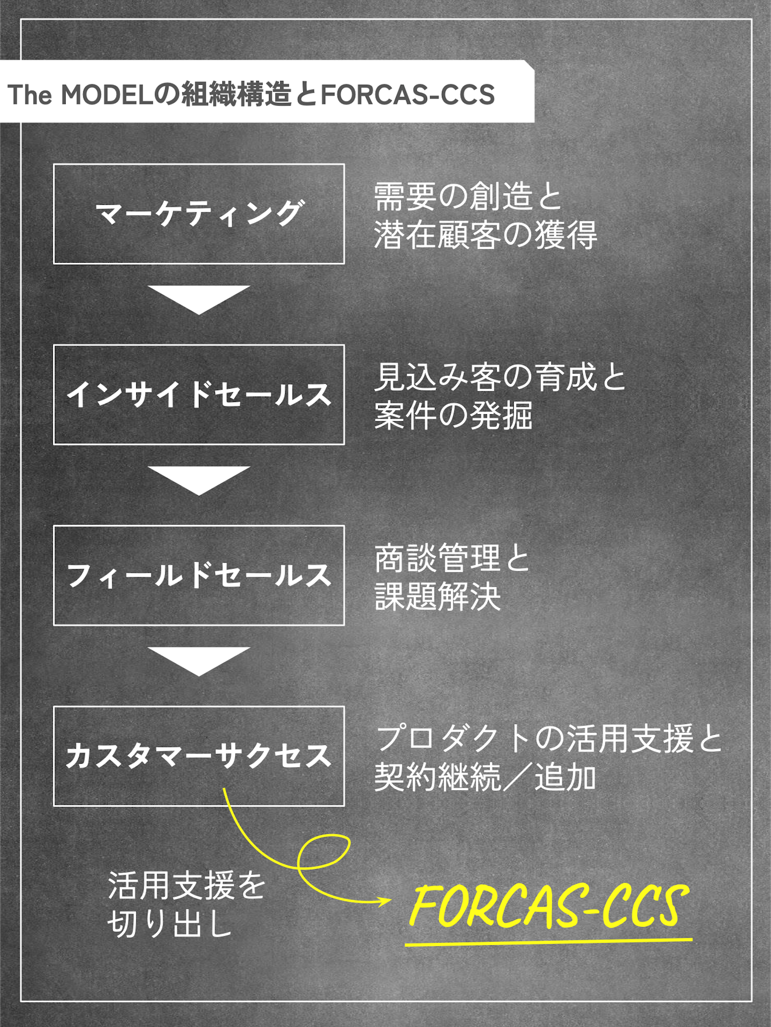 業務領域にも働く場所にもとらわれない、新しいCSのかたち