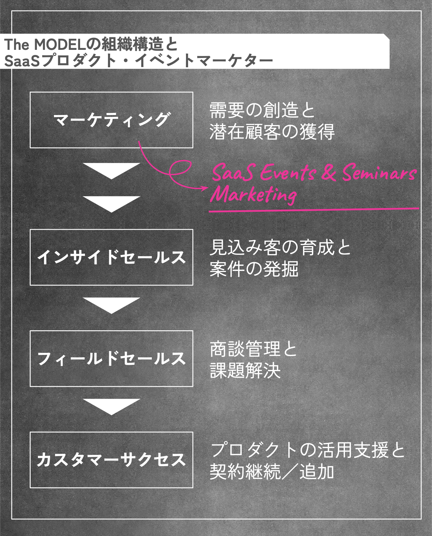 The MODELの組織構造とSaaSプロダクト・イベントマーケター