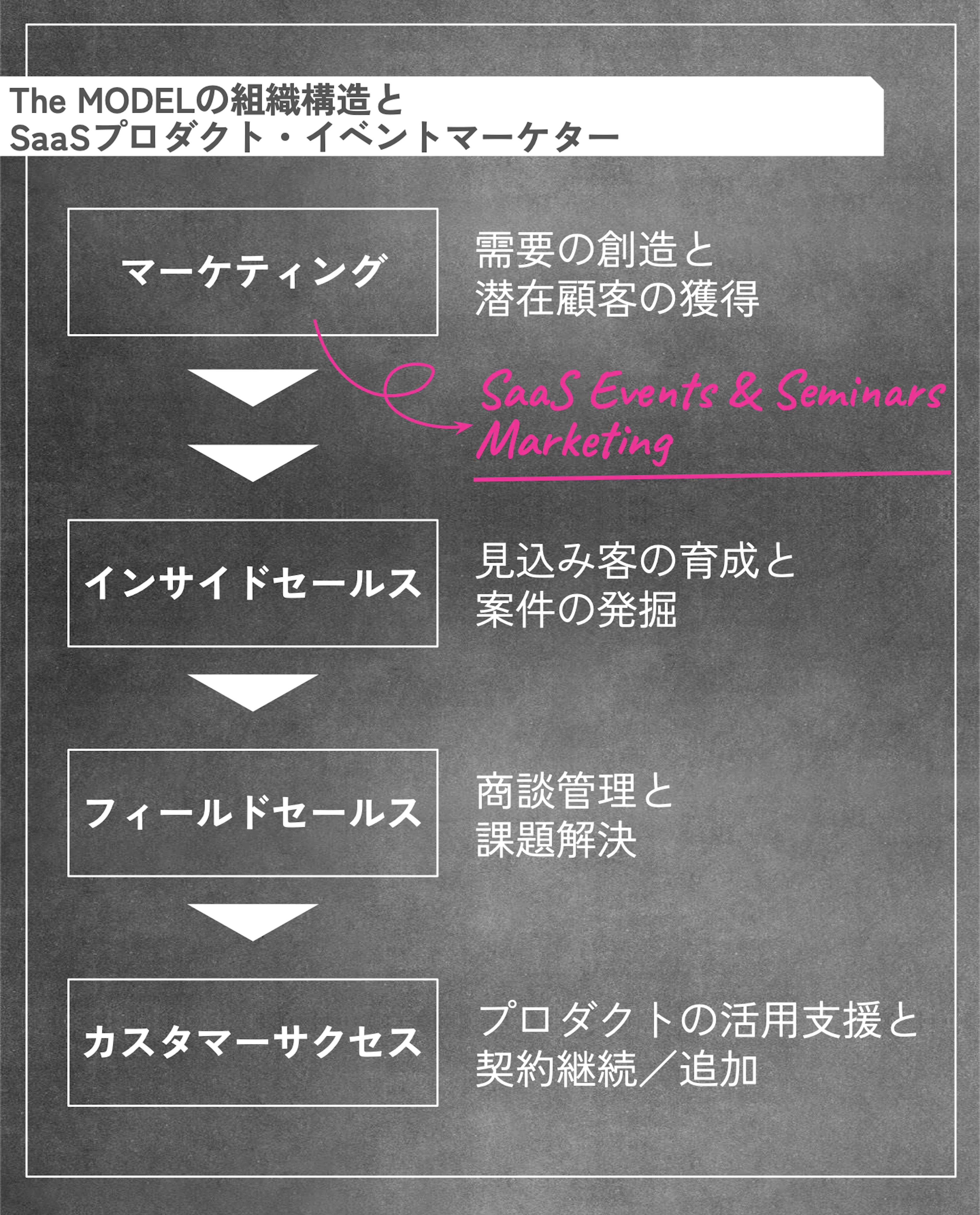 The MODELの組織構造とSaaSプロダクト・イベントマーケター