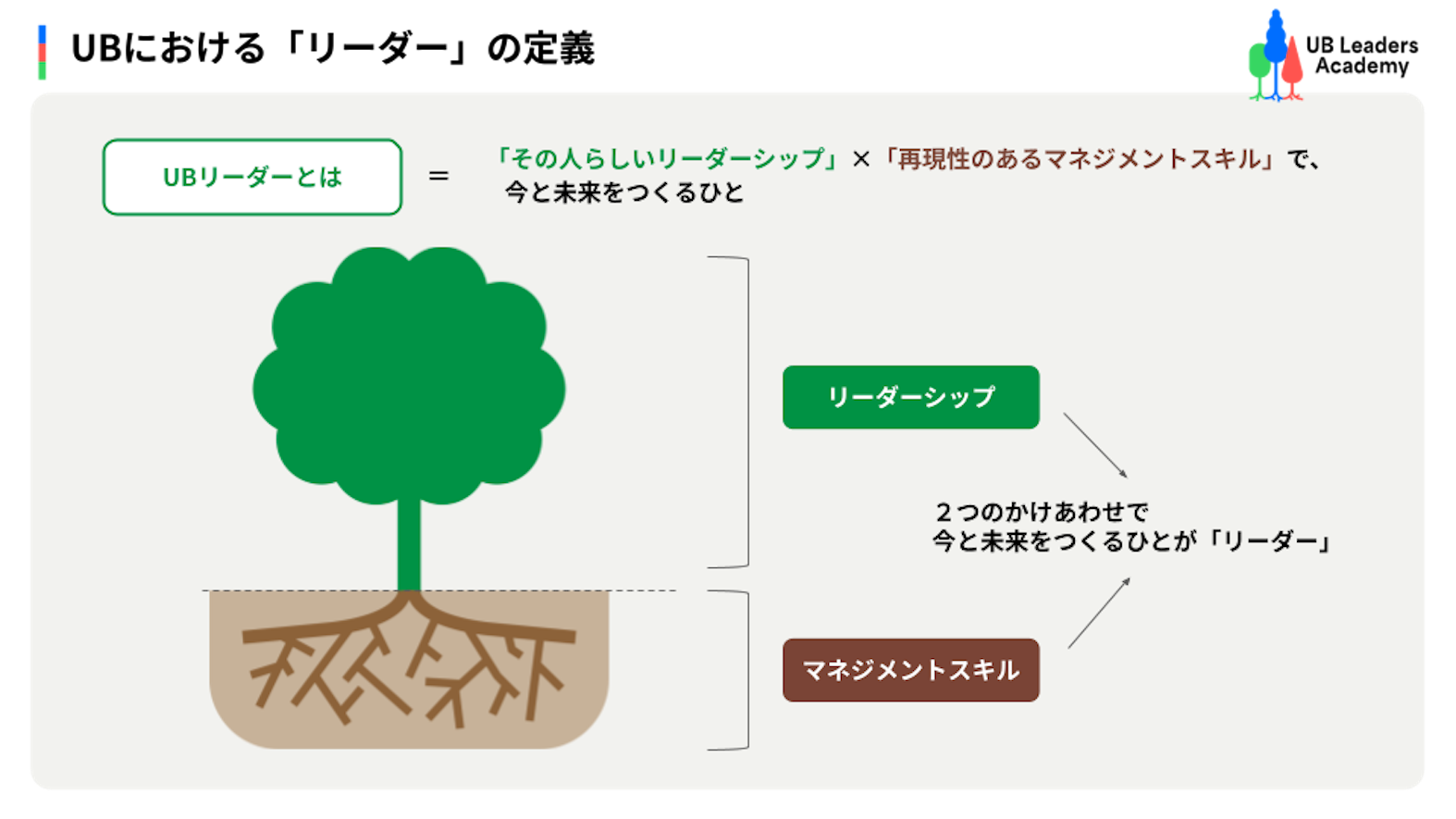 UB Leaders Academy（全社横断のリーダーシップ開発プログラム）