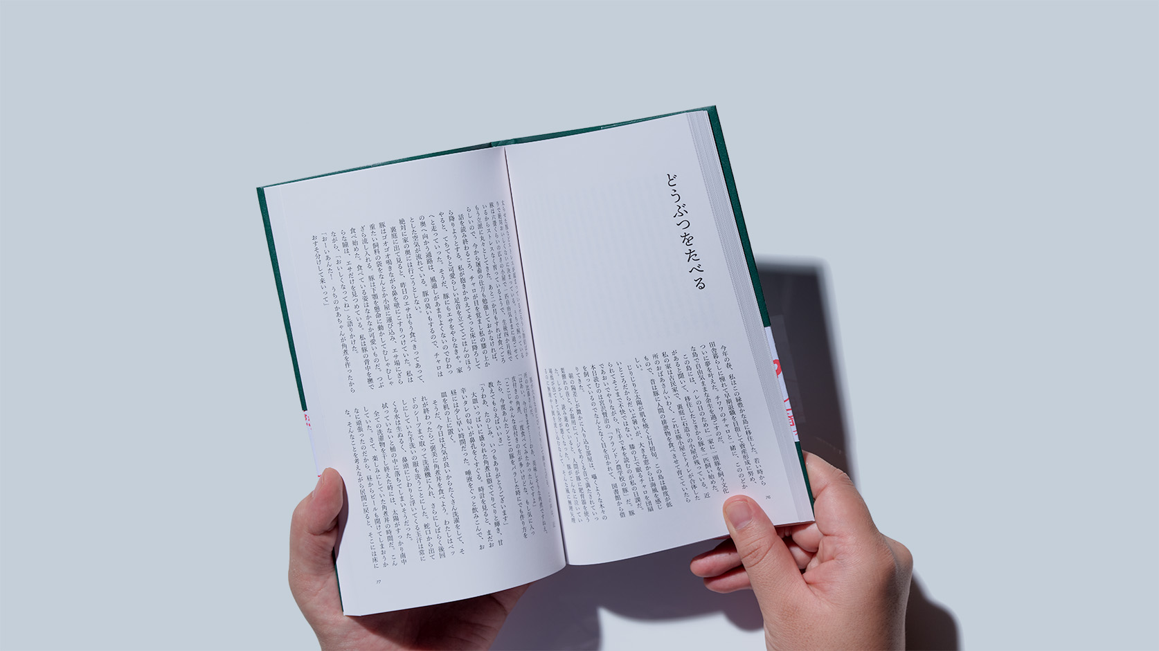 『大学の中の動物たち』 - 画像5