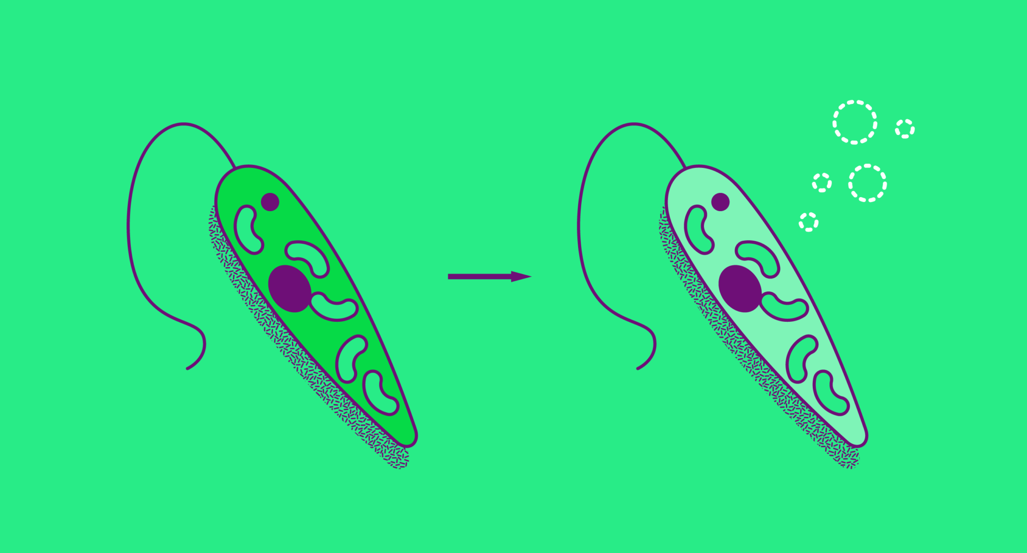 mics magazine - 画像5