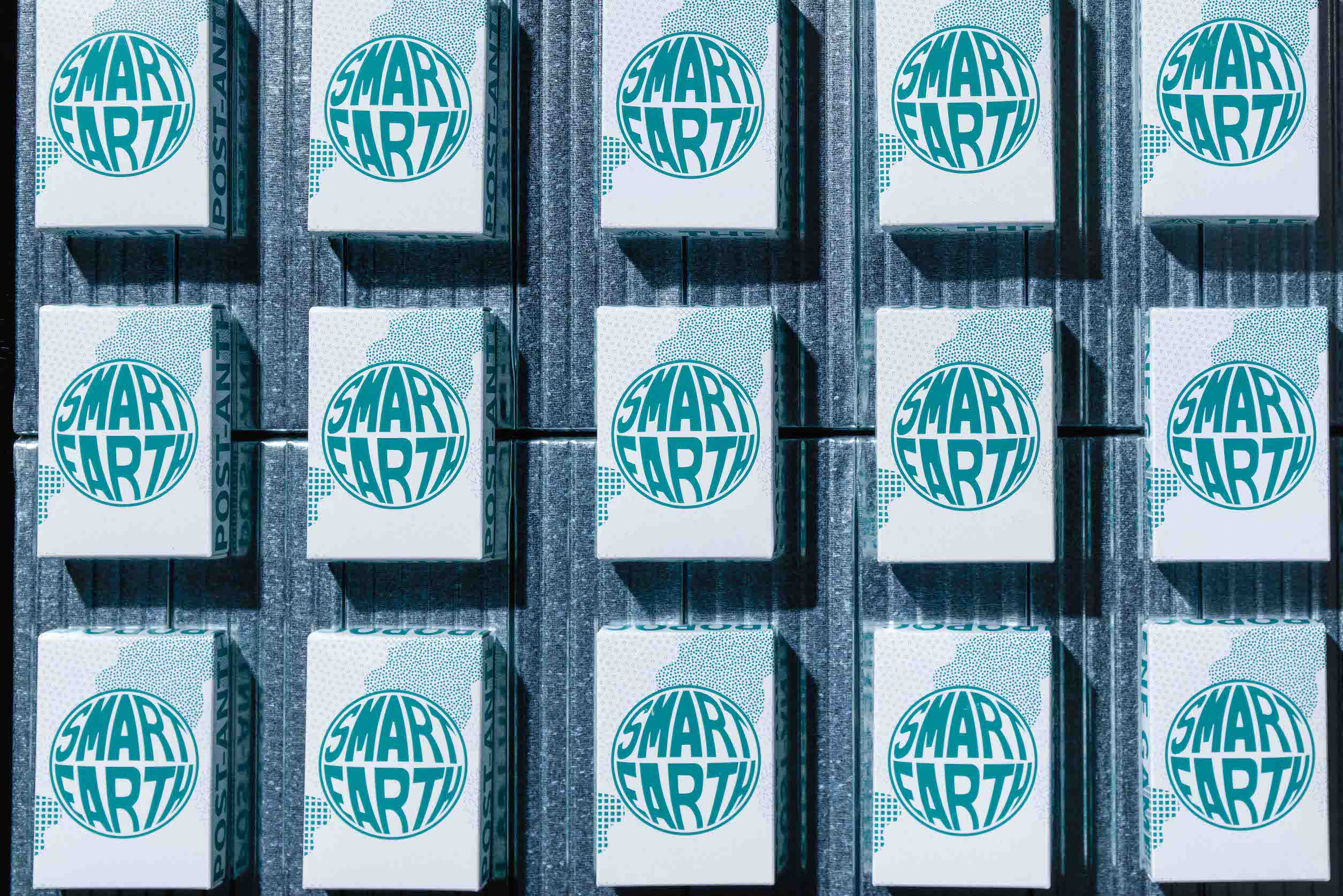 SMART EARTH - 画像1