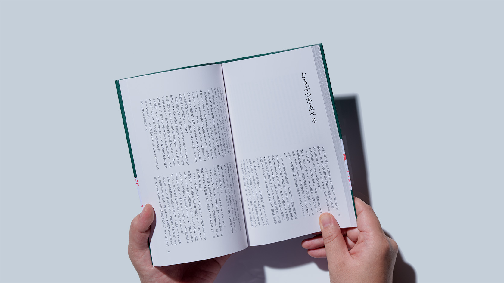 『大学の中の動物たち』 - 画像6