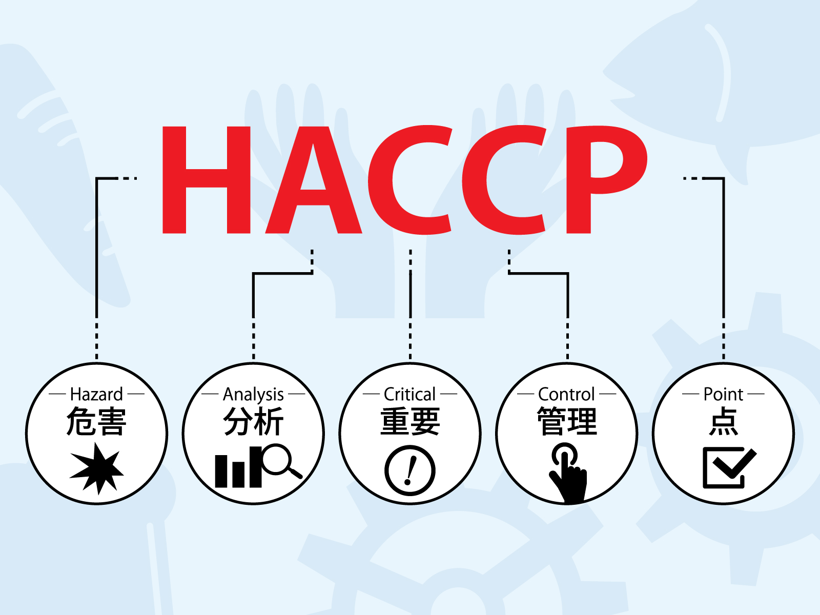 【入門編】HACCP導入の7原則12手順とは