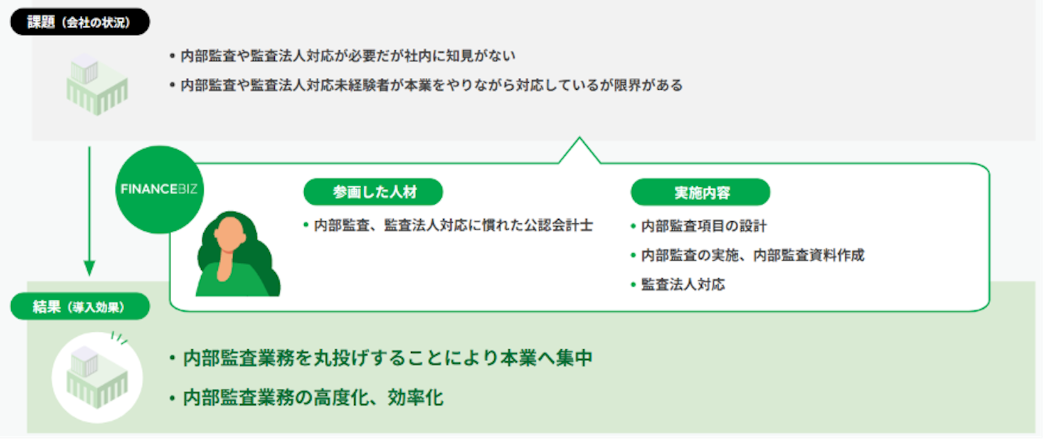 FINANCEBIZ導入事例_内部統制、内部監査支援