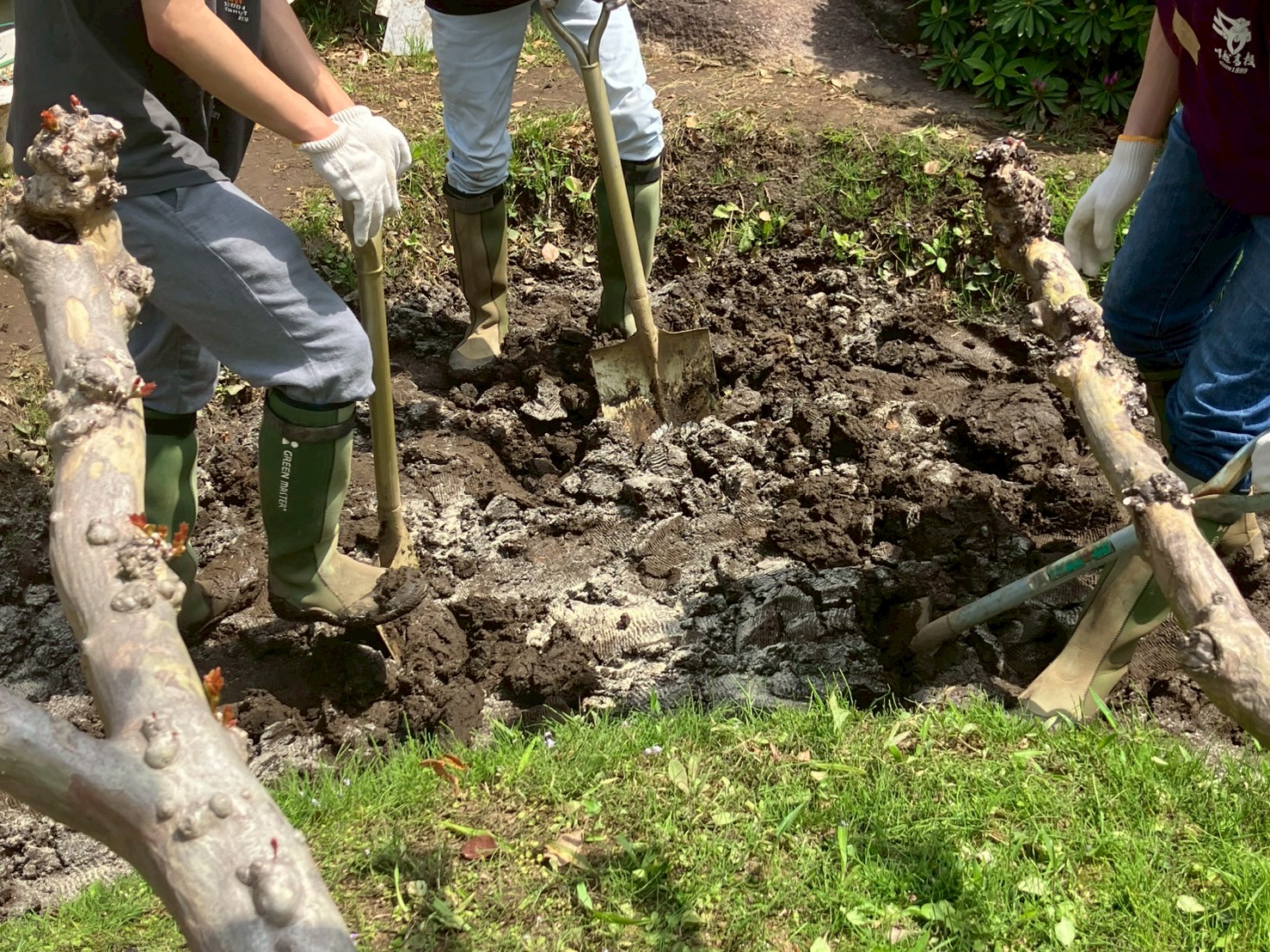 田おこしをしています(2025/4/19撮影)