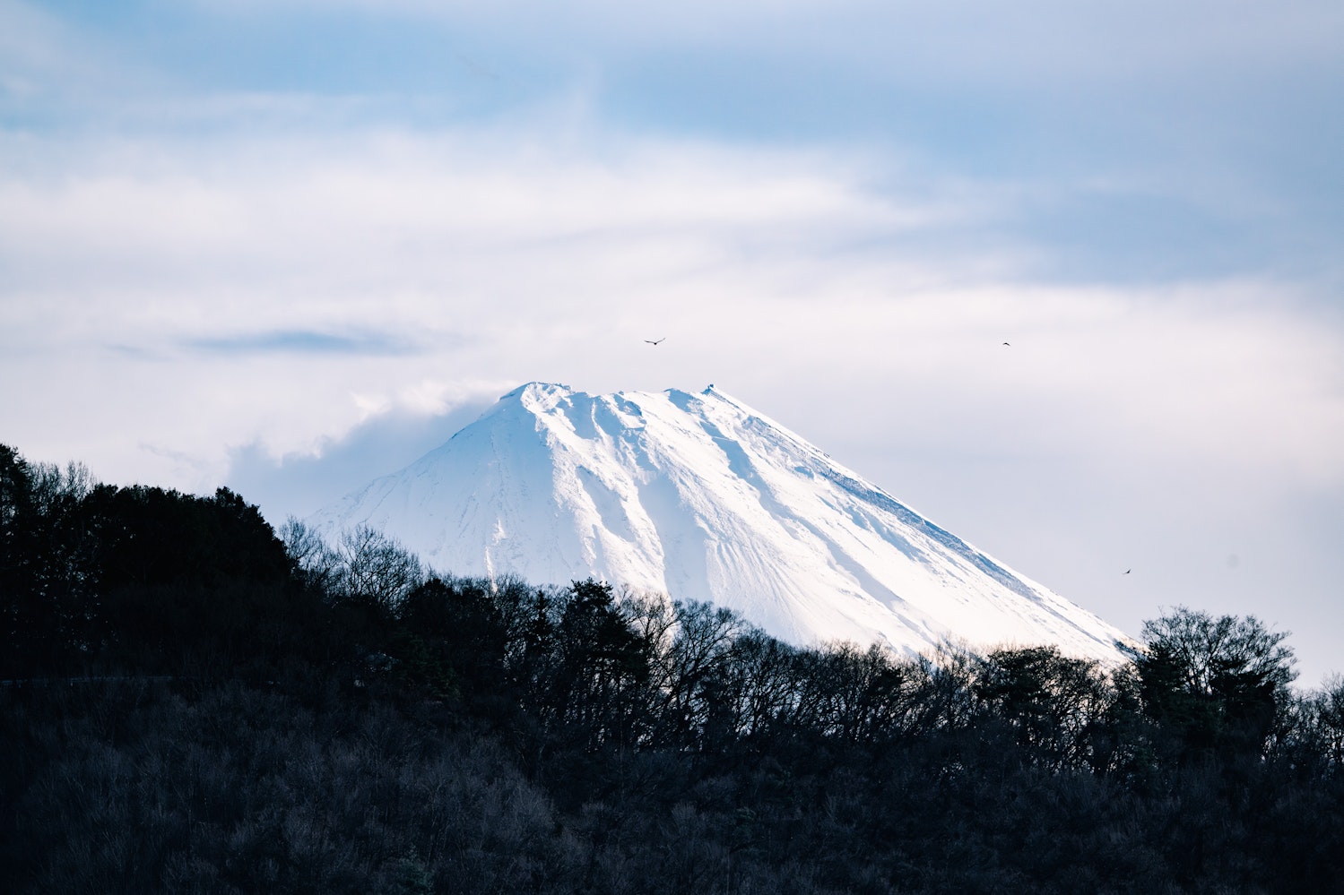 武田神社からの富士山（山梨県）