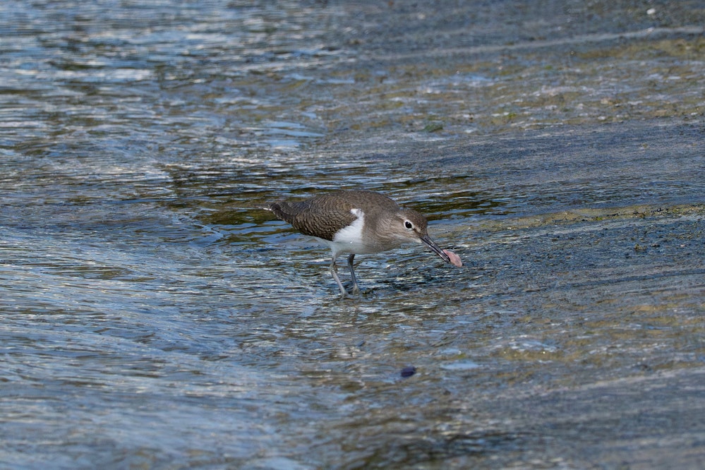 叩きつける!! - 2026.01.26 沖縄県豊見城市