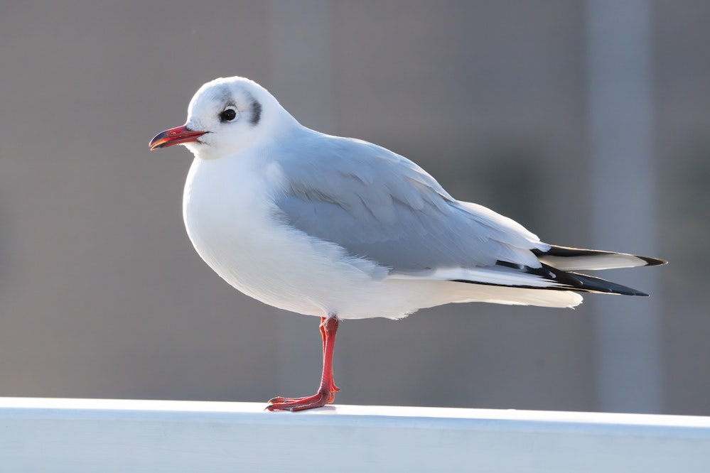 2025.12.30 東京都北区