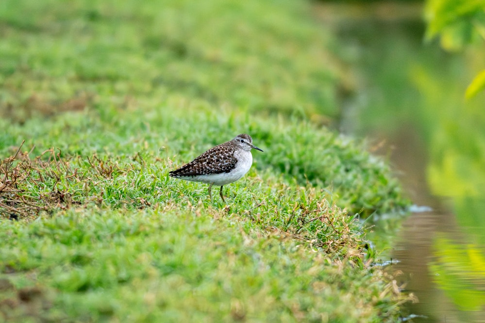 冬は少し丸い - 2026.02.01 沖縄県金武町