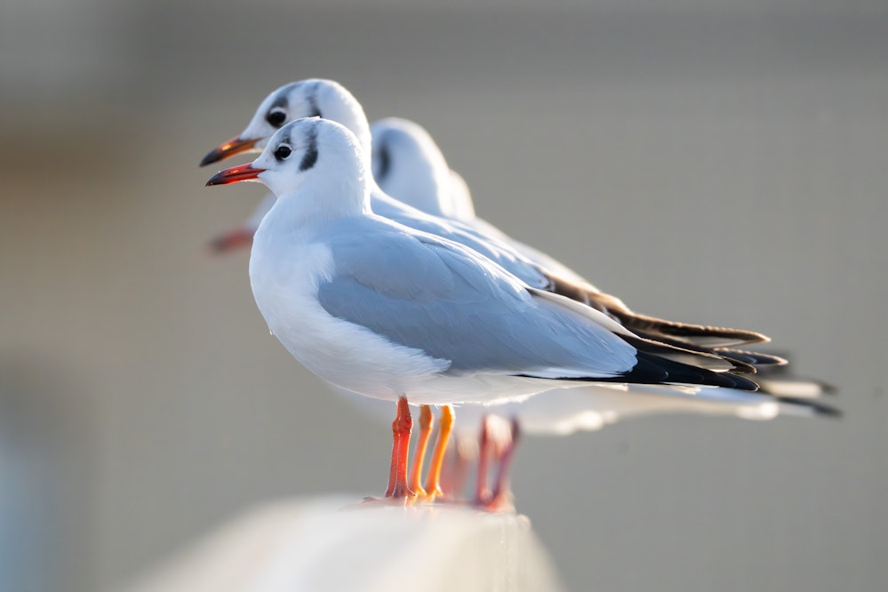 2025.12.30 東京都北区