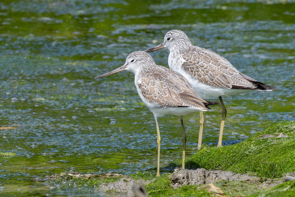 2026.03.01 沖縄県南城市
