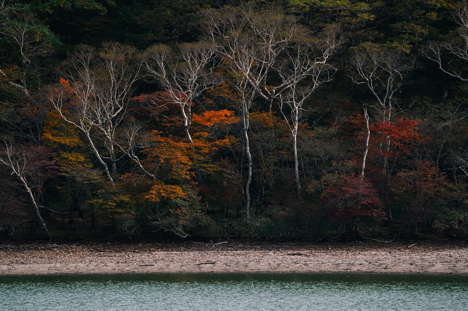 小沼（群馬県）