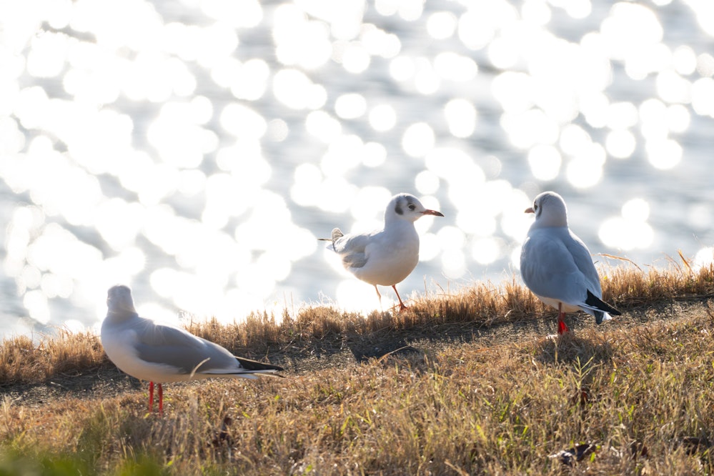 2025.12.30 東京都北区
