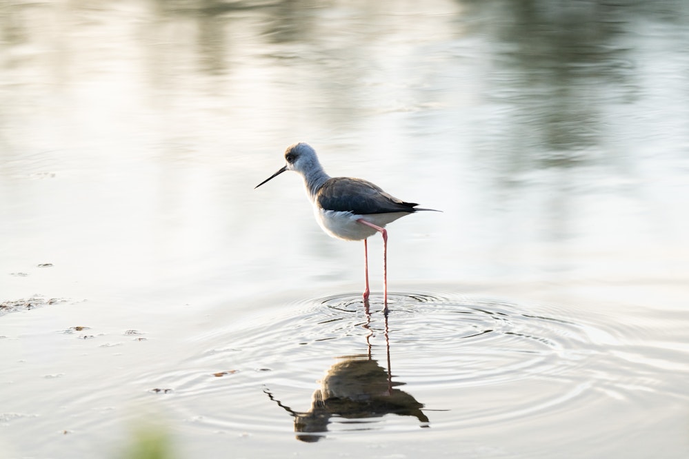 2026.01.24 沖縄県南城市