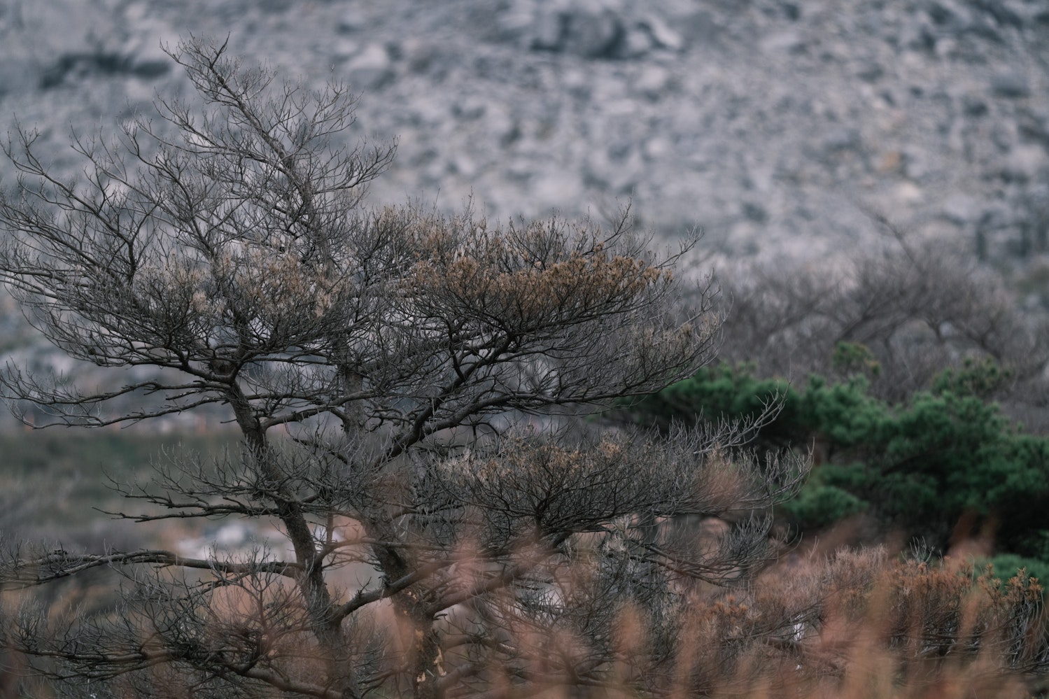 硫黄山（鹿児島県）