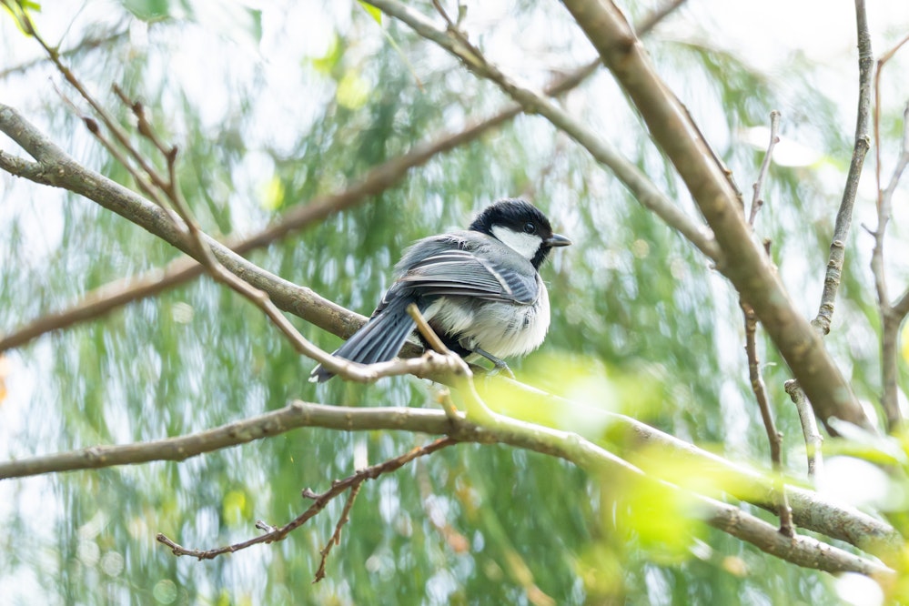 2026.03.01 沖縄県南城市
