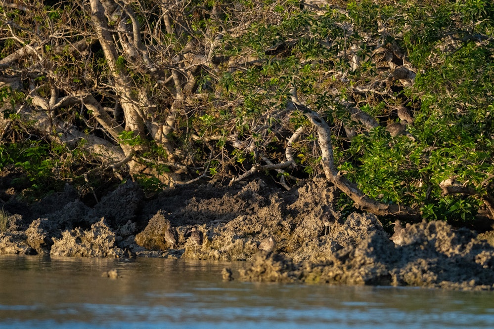 思ったよりたくさん写っています - 2025.12.06