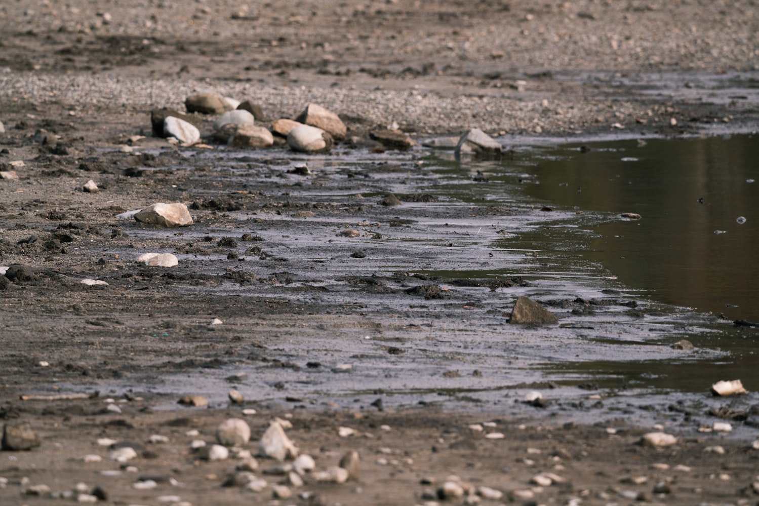 小沼（群馬県）