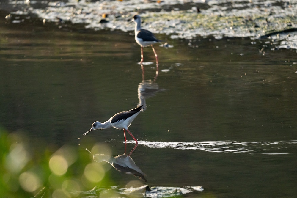 2026.01.24 沖縄県南城市