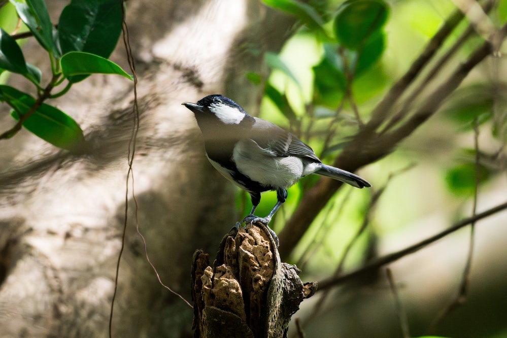 公園にて - 2025.10.23 沖縄県西原町