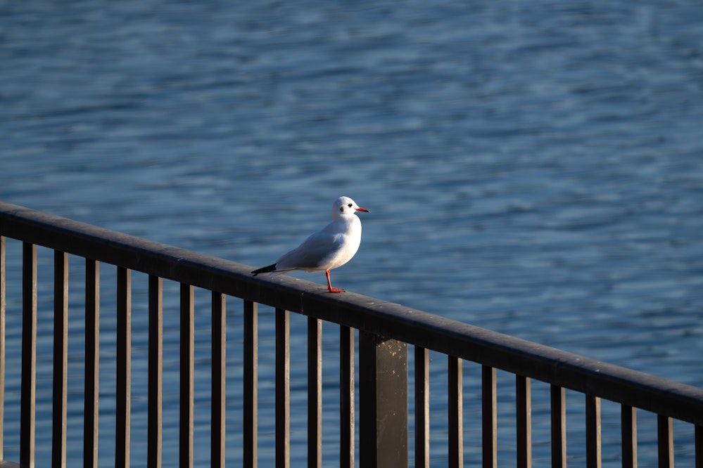 2025.12.30 東京都北区