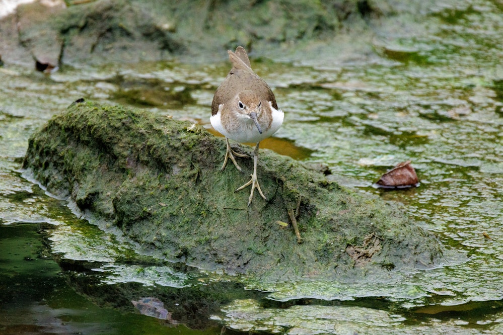 割とひとりでいる