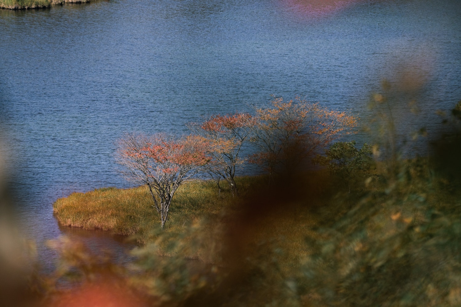 覚満淵（群馬県）