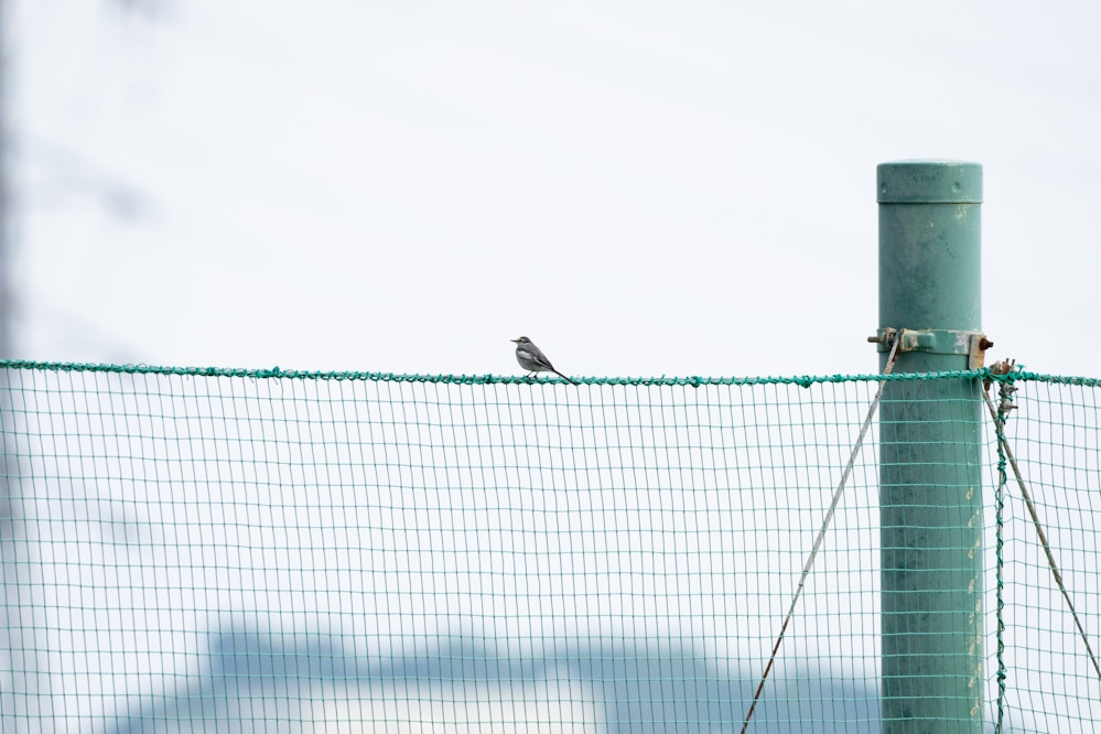 2026.01.08 沖縄県南風原町