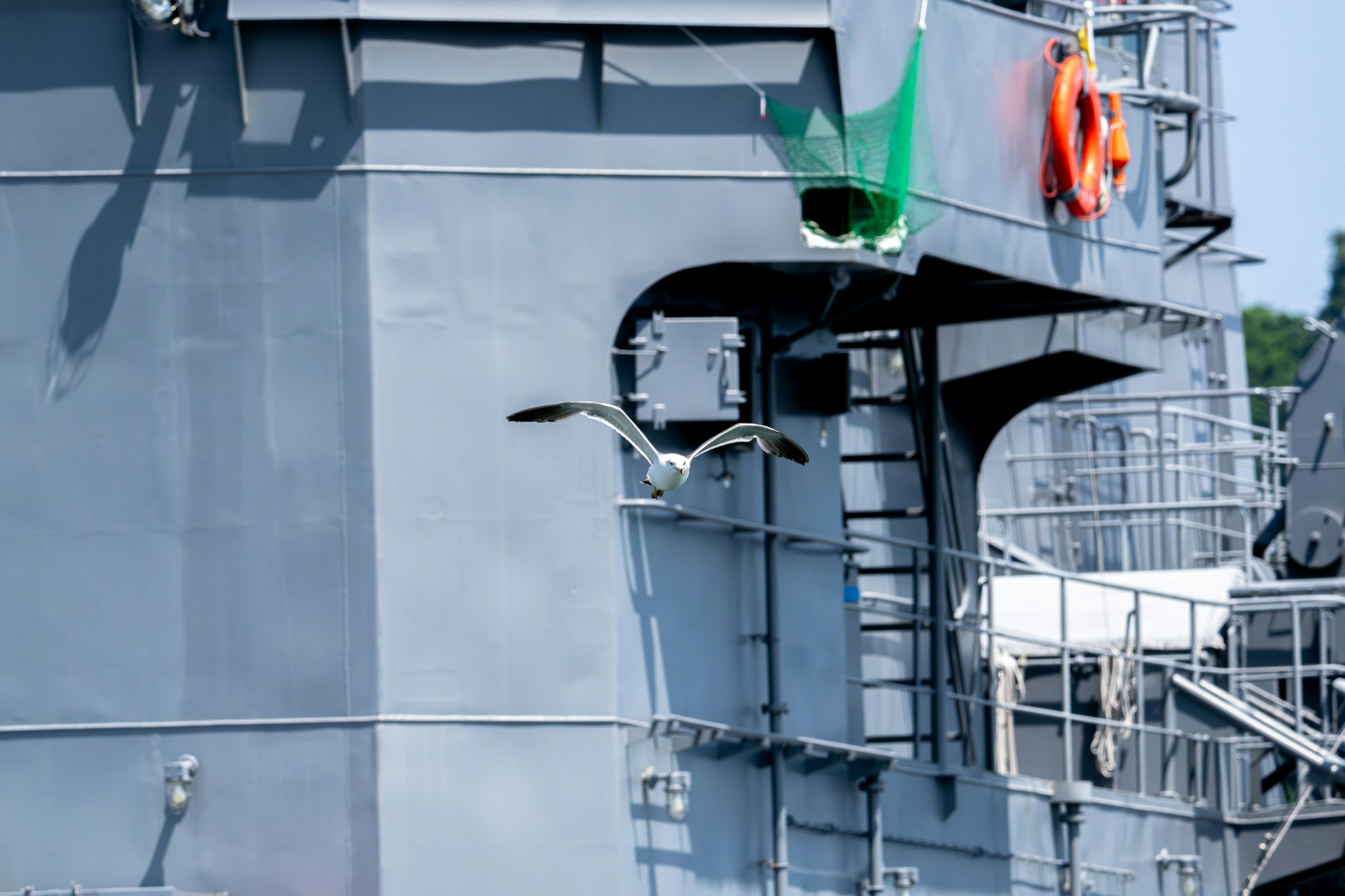 軍艦とウミネコ - 2025.07.06 京都府舞鶴市