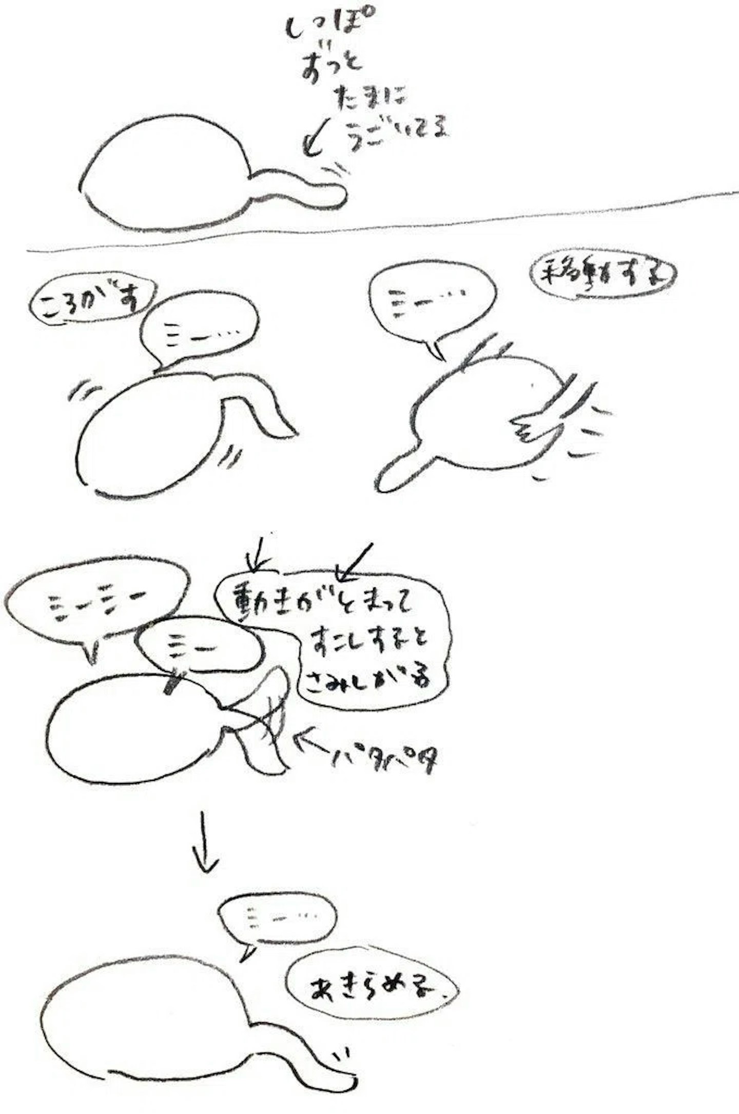 Qooboのアイデアスケッチ