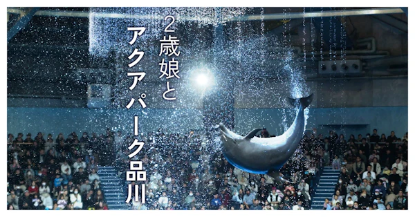 2歳と楽しい『マクセル アクアパーク品川』。水族館で大好きな魚は見れたかな？混雑時のイルカショー座席のコツとcanon 6Dで頑張って撮影！