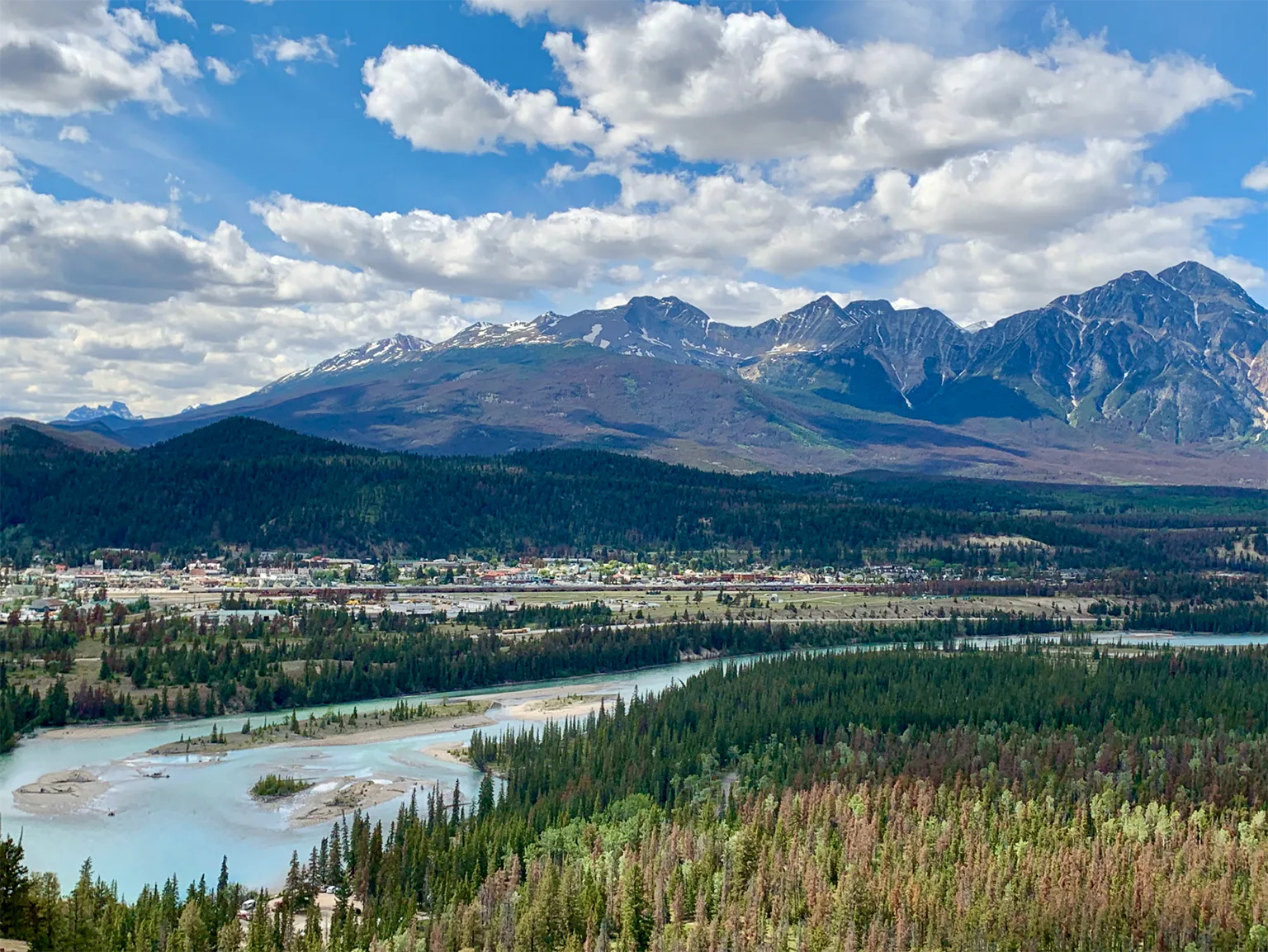 ジャスパーの画像