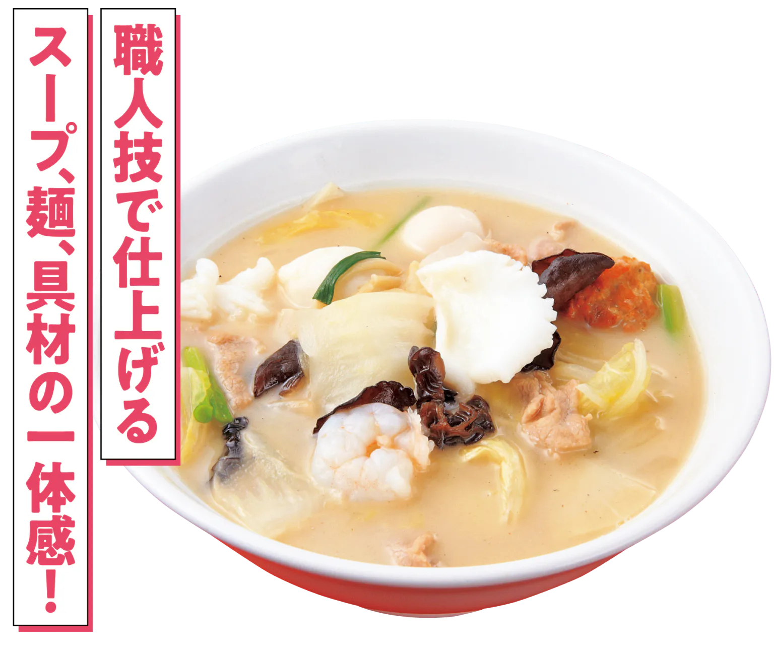 特製そぼろちゃんぽん画像