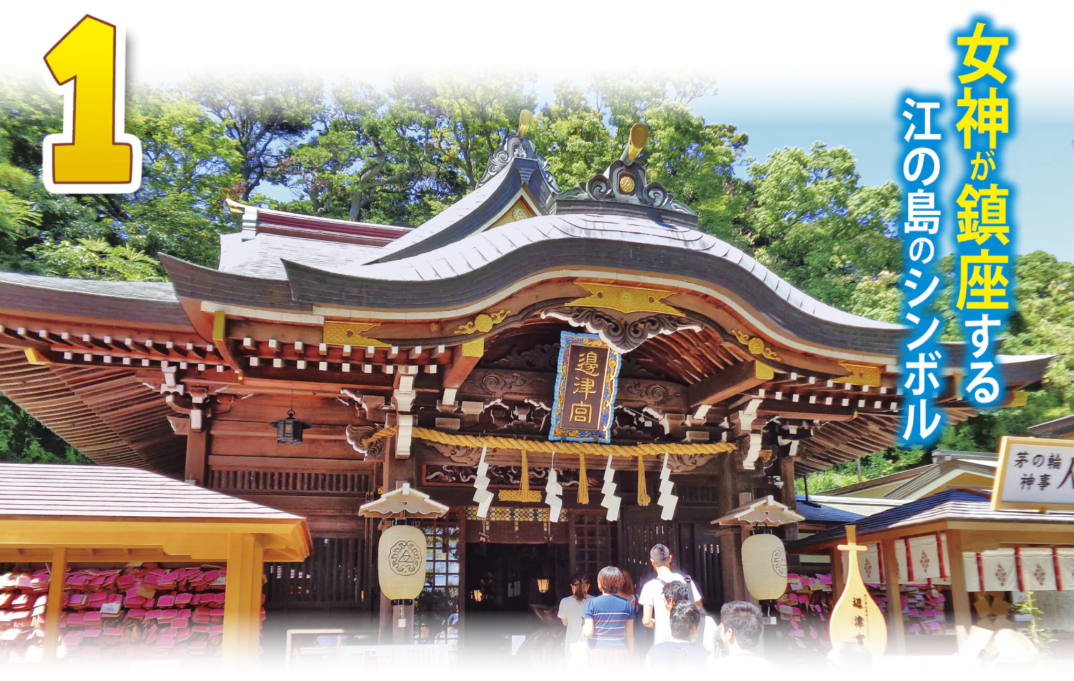 江島神社辺津宮の外観の画像